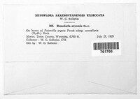 Image Associated With the Occurence